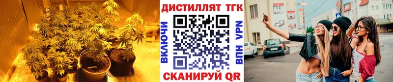 Дистиллят ТГК концентрат  Шлиссельбург 